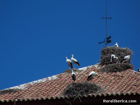 Cigeas. Piedrahta, vila - Piedrahta, vila, Castilla y Len
