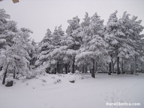La naturaleza en Santa Ins. Soria - Soria, Soria, Castilla y Len