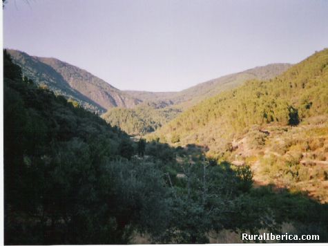 Avellanar.Las Hurdes. - Avellanar, Cceres, Extremadura