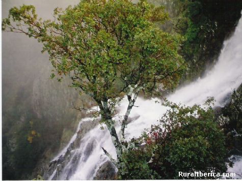 Las Hurdes. Avellanar, Cceres - Avellanar, Cceres, Extremadura
