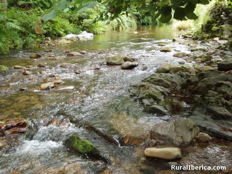 Rio Navelgas a su paso por Foyedo - Navelgas, Asturias, Asturias
