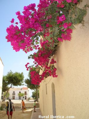Tabarca. Isla de Tabarca, Alicante - Isla de Tabarca, Alicante, Comunidad Valenciana