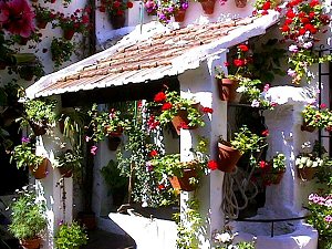Crdoba, patio cordobs - Crdoba, Andaluca