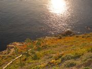 Acantilado-Hacho. Ceuta