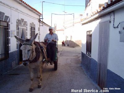 Transporte tradicional, El Bronco, Cceres - El Bronco, Cceres, Extremadura