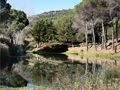 Caba�as de Tentud�a