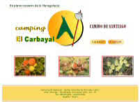 Camping El Carbayal. Santa Colomba de Somoza, Le�n
