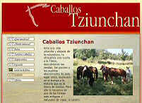 Caballos Tziunchan. El Barco de �vila, �vila