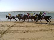 caballos en la playa de sanlucar