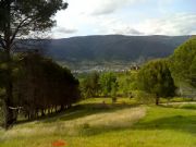 Pinar con vistas. Petn, Orense
