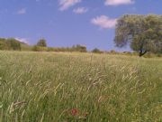 La pradera. Ubrique, C�diz