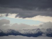 Leonados en Miravete