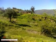 El verde de Santa Mara de Mones. Orense