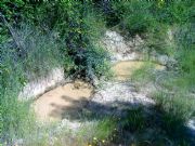 El bao del Jabal. Petn, Orense