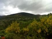 detras de las retamas, Mones-Petn