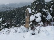 La Jarosa. Guadarrama, Madrid