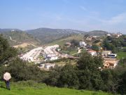 Encinares de Alcolea, C�rdoba