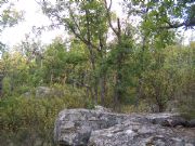 Monte de Pedrajas (Soria)