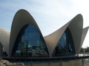 Oceanografic. Valencia, Comunidad Valenciana