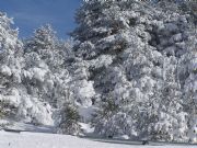Das blancos en Santa Ins (Soria)