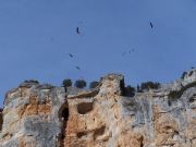 sobrevolando el Can del ro Lobos