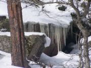 clido invierno