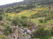 Paraje, Mata lobosa