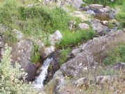 Paraje, Mata lobosa