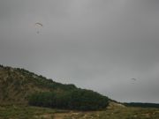 HOMBRES PAJARO EN LA VEGA 