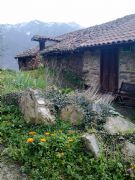 Apartamentos rurales en Bustiello. Bustiello, Asturias