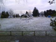 Neve no cuvi