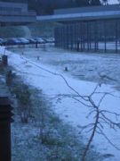 Neve no cuvi