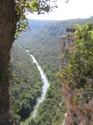 Caones del Ebro. Revelillas, Cantabria