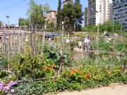 Huertos urbanos para jubilados, Parque de San Marti, Barcelona