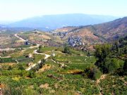 Campos de cultivo y Portomourisco, Ourense