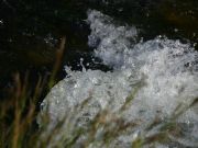 AGUA QUE NO HAS DE BEBER DEJALA PARA SALAMANCA 