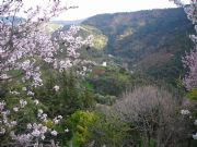 Paisaje de Jubrique. Jubrique, M�laga