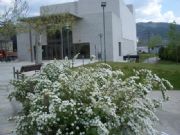 Auditorio de Quiroga. Quiroga, Lugo