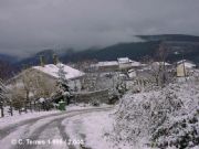 Cando neva en terras de trives