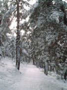 Navacerrada, Madrid