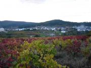 Vistas de Larouco, Orense