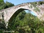 Ponte navea