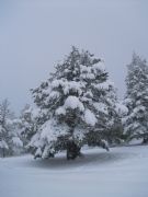 La naturaleza en Santa Ins. Soria