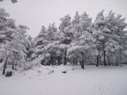 La naturaleza en Santa Ins. Soria