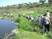 Ruta Cicloturista. San Jorge de Alor, Badajoz