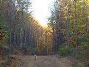 Los Montes de Hervas en oto�o