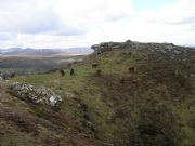 Caballos del Cadramon. Valle del Oro, Lugo