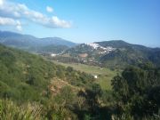 Alcal� de los Gazules y el Parque Natural de los Arconocales de fondo