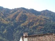 Paisaje oto�al. Jubrique, M�laga