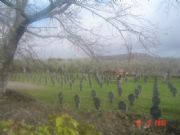 Descanso. Cuacos de Yuste, Cceres